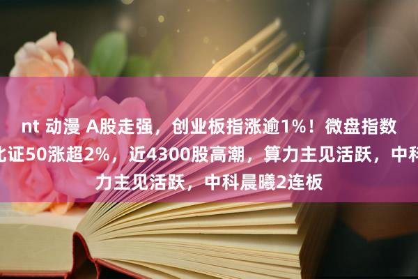 nt 动漫 A股走强，创业板指涨逾1%！微盘指数涨超2%，北证50涨超2%，近4300股高潮，算力主见活跃，中科晨曦2连板