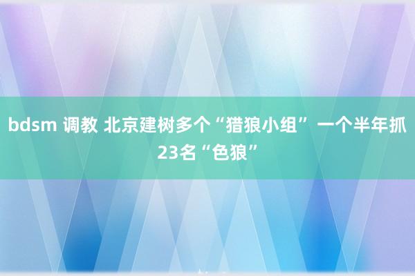 bdsm 调教 北京建树多个“猎狼小组” 一个半年抓23名“色狼”